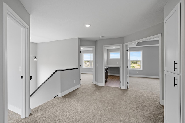 interior space featuring a healthy amount of sunlight, baseboards, and light carpet