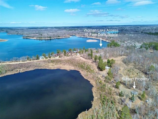 357 Glenmar Dr NE, Longville, MN 56655 - birds eye view of property with a water view