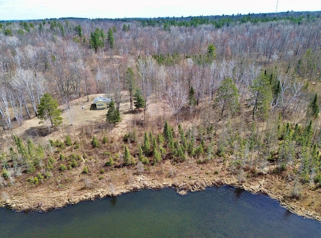 357 Glenmar Dr NE, Longville, MN 56655 - birds eye view of property featuring a view of trees