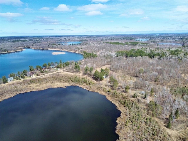 357 Glenmar Dr NE, Longville, MN 56655 - bird's eye view with a water view