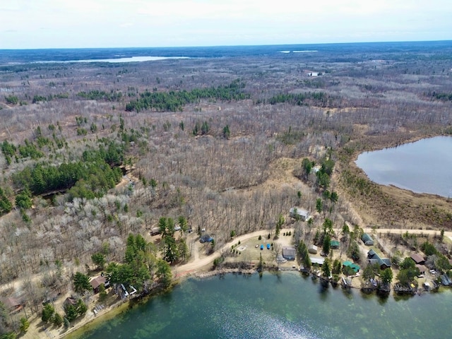 357 Glenmar Dr NE, Longville, MN 56655 - birds eye view of property with a water view and a forest view