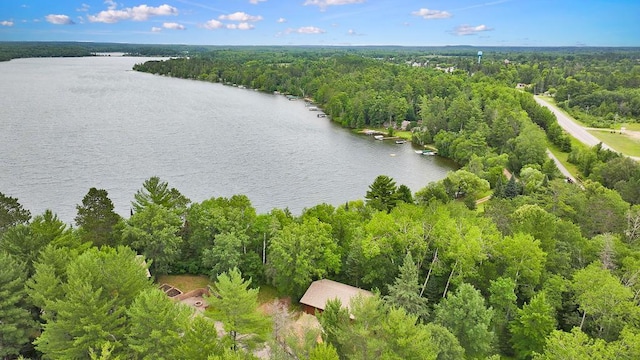 29660 State 34, Akeley Twp, MN 56433 - photo 45