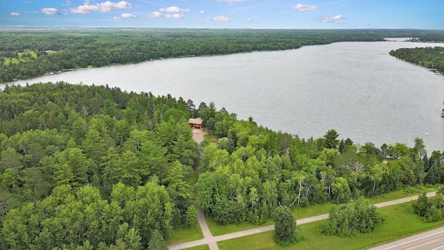 29660 State 34, Akeley Twp, MN 56433 - photo 46