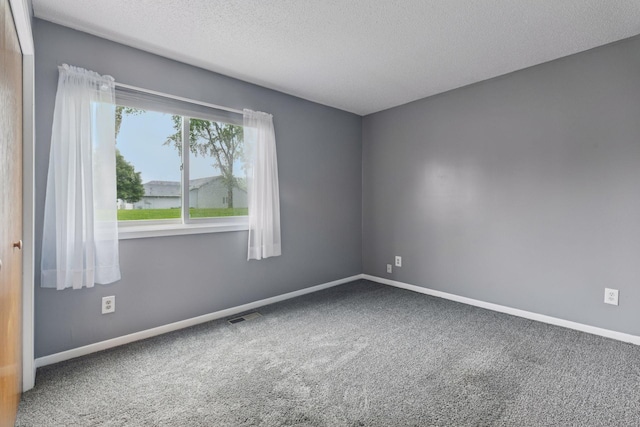 1513 Creek Meadows Dr NW, Coon Rapids, MN 55433 - spare room with carpet floors and a textured ceiling