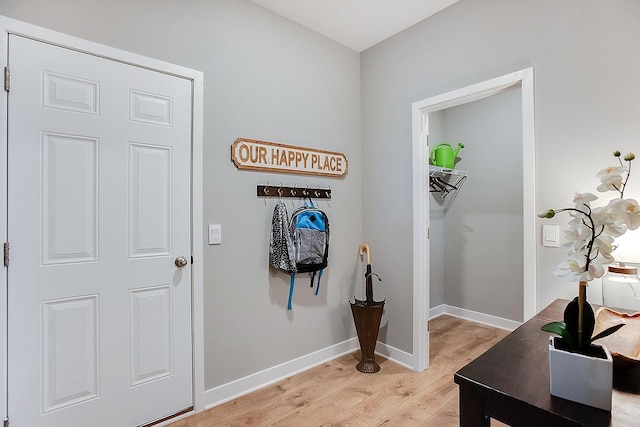 528 Goldenrod Trl, Waconia, MN 55387 - hallway featuring light wood-style flooring and baseboards