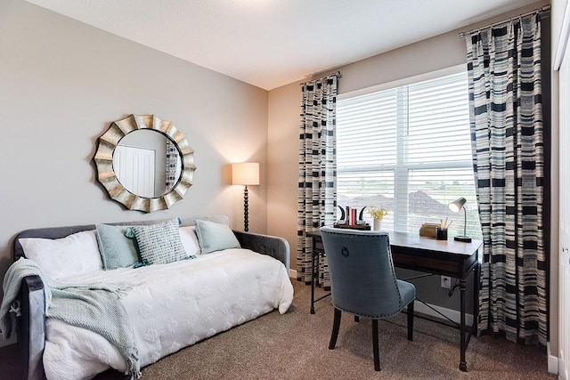 528 Goldenrod Trl, Waconia, MN 55387 - bedroom with carpet and a desk