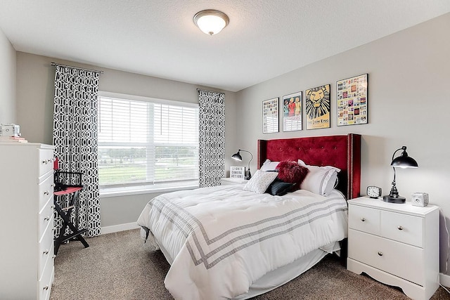 528 Goldenrod Trl, Waconia, MN 55387 - carpeted bedroom with baseboards
