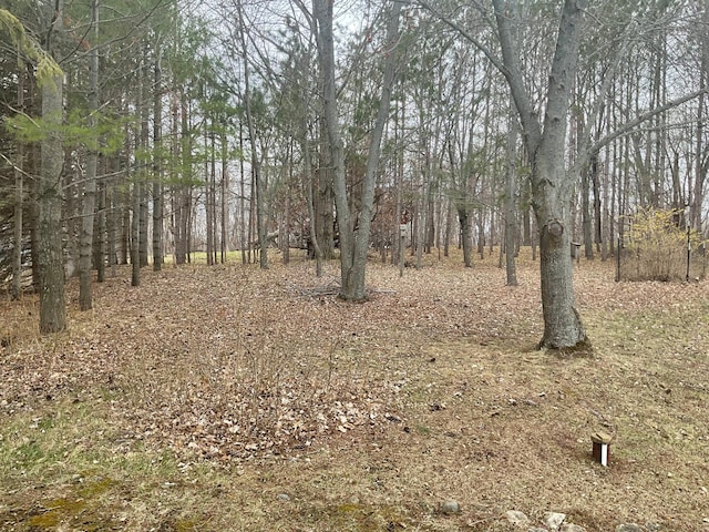 36074 County Highway 72, Everts Twp, MN 56515 - view of landscape