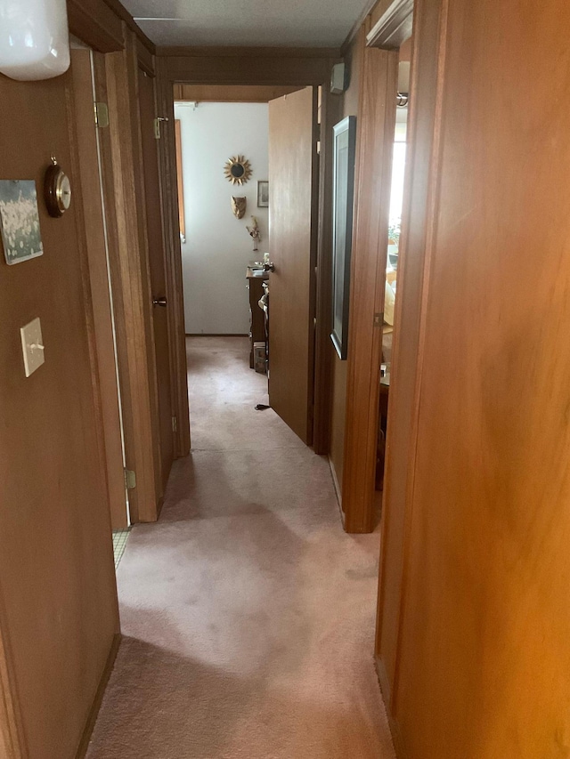 36074 County Highway 72, Everts Twp, MN 56515 - hallway with light carpet