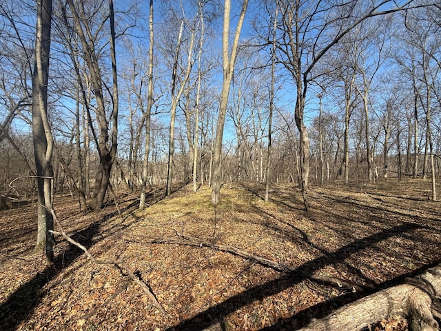 view of undeveloped land
