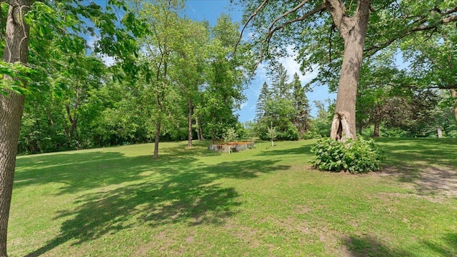 19593 Minnesota Highway 22, Greenleaf Twp, MN 55355 - view of green lawn featuring view of wooded area