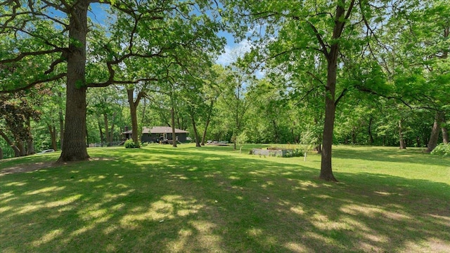 19593 Minnesota Highway 22, Greenleaf Twp, MN 55355 - view of grassy yard with a wooded view