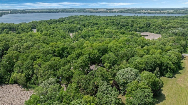 19593 Minnesota Highway 22, Greenleaf Twp, MN 55355 - aerial view of a forest and a large body of water
