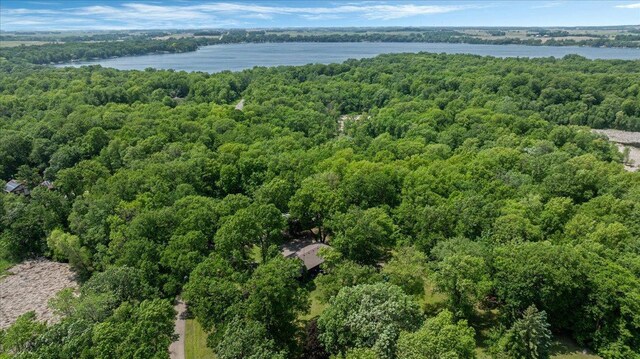 19593 Minnesota Highway 22, Greenleaf Twp, MN 55355 - aerial overview of property's location featuring a forest and a nearby body of water