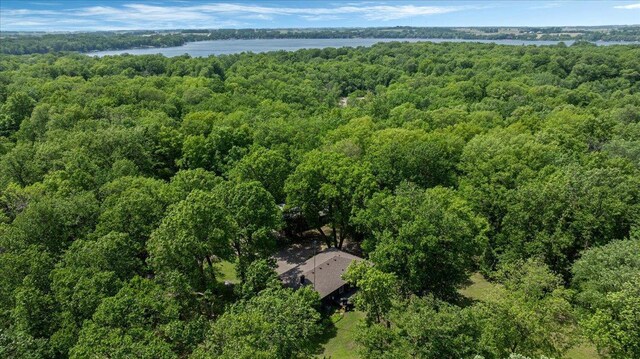 19593 Minnesota Highway 22, Greenleaf Twp, MN 55355 - bird's eye view of a forest and a large body of water