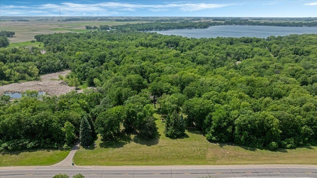 19593 Minnesota Highway 22, Greenleaf Twp, MN 55355 - aerial view of a nearby body of water and a heavily wooded area