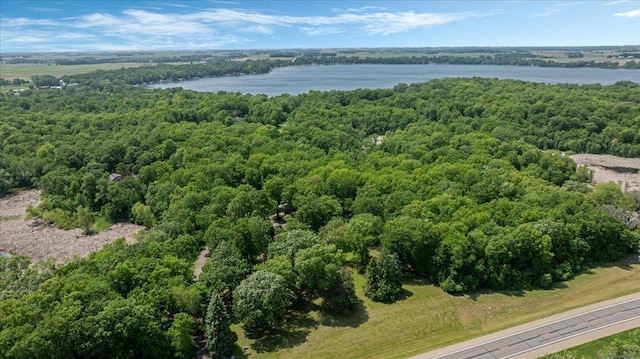 19593 Minnesota Highway 22, Greenleaf Twp, MN 55355 - bird's eye view of a large body of water and a heavily wooded area