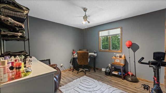 19593 Minnesota Highway 22, Greenleaf Twp, MN 55355 - office area with wood finished floors, ceiling fan, baseboards, and a textured ceiling