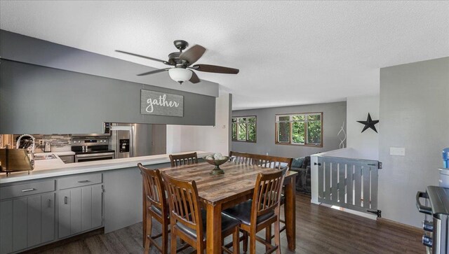 19593 Minnesota Highway 22, Greenleaf Twp, MN 55355 - dining room featuring dark wood-type flooring, ceiling fan, and a textured ceiling