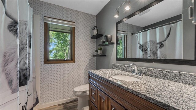 19593 Minnesota Highway 22, Greenleaf Twp, MN 55355 - bathroom featuring wallpapered walls, wood finished floors, vanity, toilet, and baseboards