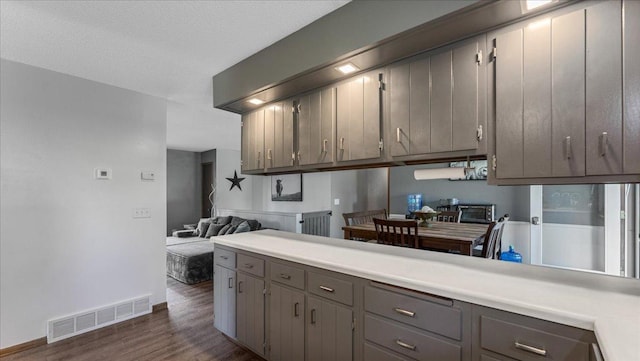 19593 Minnesota Highway 22, Greenleaf Twp, MN 55355 - kitchen featuring dark wood-style floors, light countertops, gray cabinetry, and baseboards