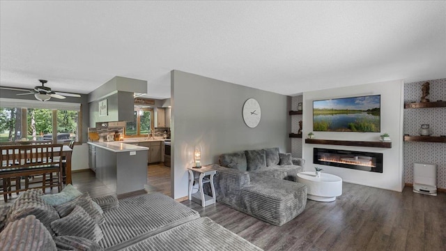 19593 Minnesota Highway 22, Greenleaf Twp, MN 55355 - living area with wood finished floors, a ceiling fan, a glass covered fireplace, and baseboards
