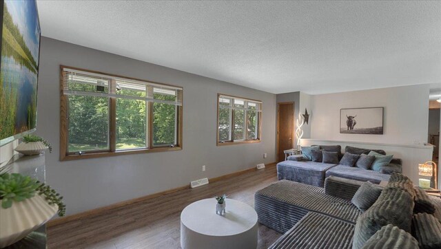 19593 Minnesota Highway 22, Greenleaf Twp, MN 55355 - living area with wood finished floors, a textured ceiling, and baseboards