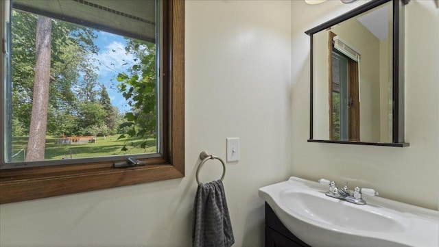 19593 Minnesota Highway 22, Greenleaf Twp, MN 55355 - bathroom with vanity