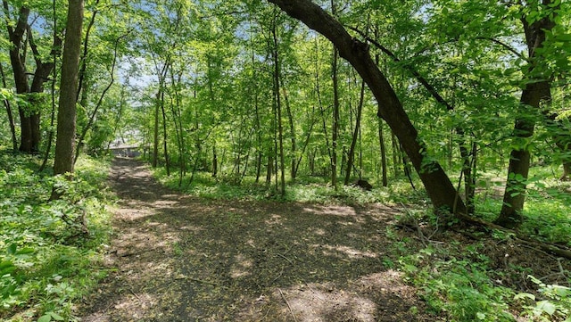 19593 Minnesota Highway 22, Greenleaf Twp, MN 55355 - view of tree filled area