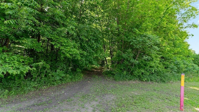 19593 Minnesota Highway 22, Greenleaf Twp, MN 55355 - view of yard