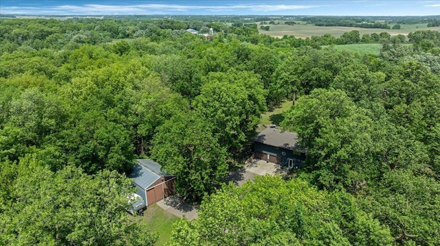 19593 Minnesota Highway 22, Greenleaf Twp, MN 55355 - view from above of property featuring a forest