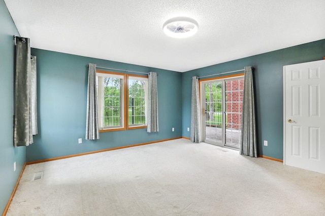 13409 44th Cir NE, Saint Michael, MN 55376 - empty room featuring carpet flooring, healthy amount of natural light, baseboards, and a textured ceiling