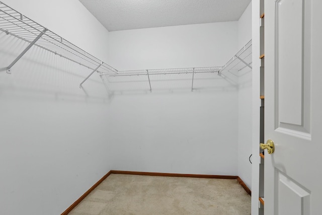 13409 44th Cir NE, Saint Michael, MN 55376 - walk in closet featuring light carpet