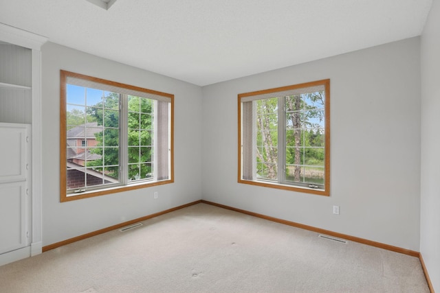 13409 44th Cir NE, Saint Michael, MN 55376 - spare room with healthy amount of natural light, carpet flooring, and baseboards