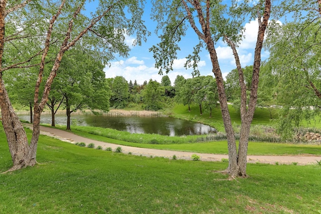 13409 44th Cir NE, Saint Michael, MN 55376 - water view