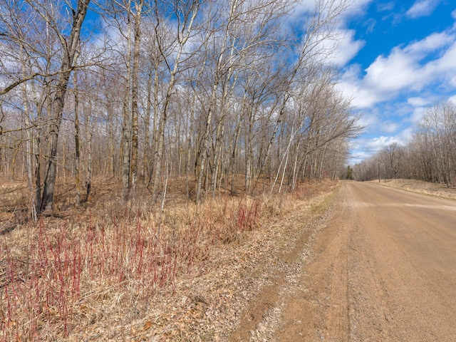10823 Bollenbacher Rd, Garrison Twp, MN 56401 - view of street