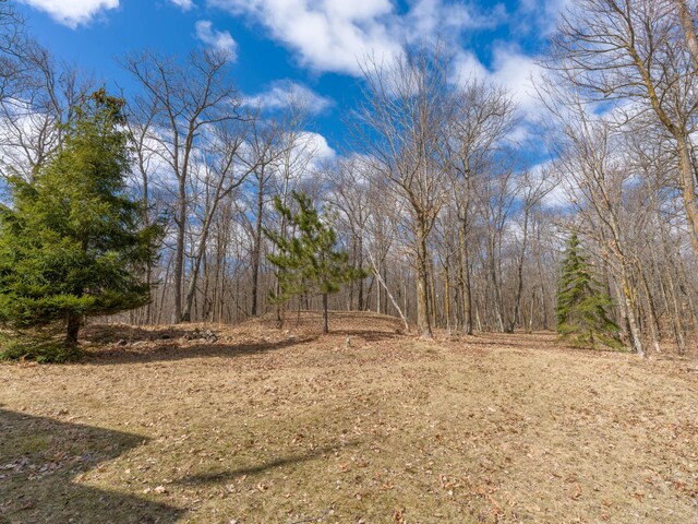 10823 Bollenbacher Rd, Garrison Twp, MN 56401 - view of local wilderness