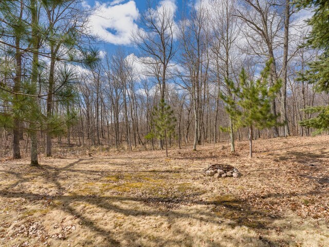 10823 Bollenbacher Rd, Garrison Twp, MN 56401 - view of landscape