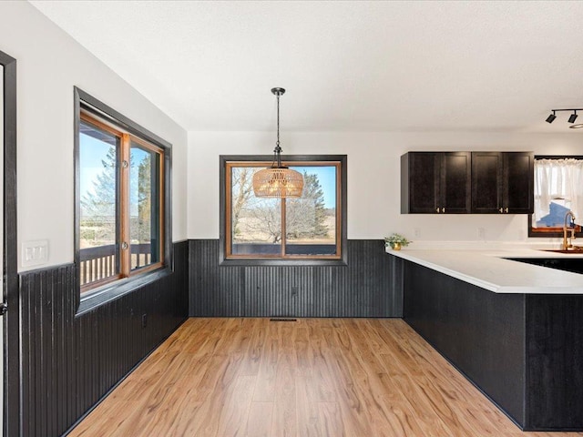 unfurnished dining area with wainscoting, light wood-style flooring, and a sink