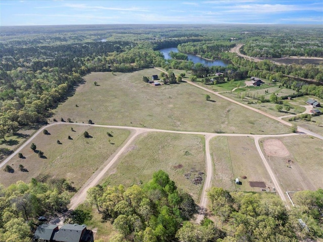 14122 13th Ave SW, Sylvan Twp, MN 56473 - view of property location featuring a nearby body of water, a heavily wooded area, and rural landscape
