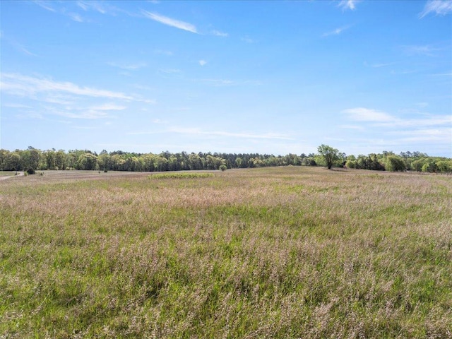 14122 13th Ave SW, Sylvan Twp, MN 56473 - view of undeveloped land featuring rural landscape