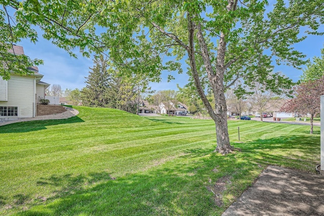 view of grassy yard