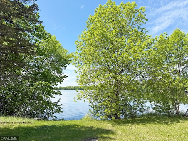 7861 Greer Ave NW, Maple Lake, MN 55358 - water view