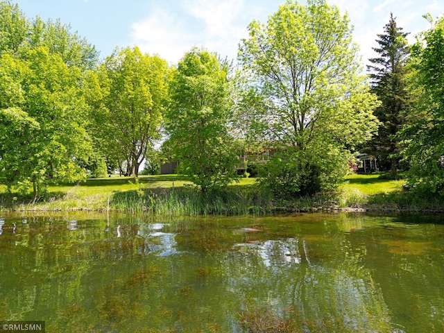 7861 Greer Ave NW, Maple Lake, MN 55358 - water view