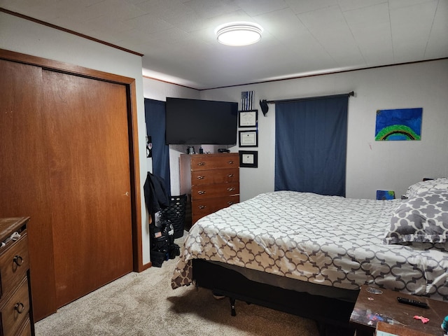 bedroom featuring carpet floors and a closet