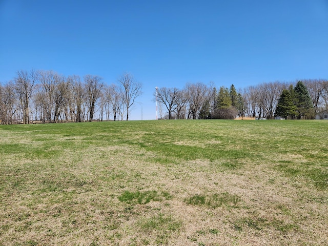 view of yard featuring a rural view