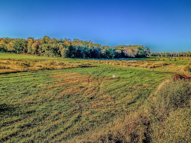 view of local wilderness featuring a rural view