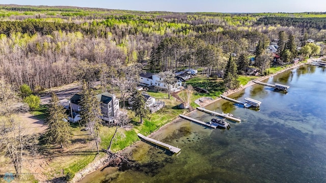 29972 293rd St, Little Elbow Twp, MN 56589 - drone / aerial view of a forest and a nearby body of water