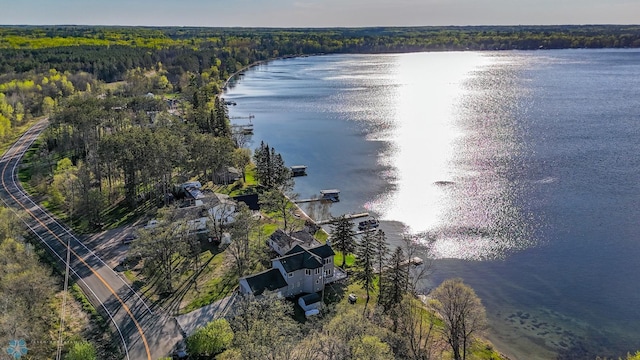 29972 293rd St, Little Elbow Twp, MN 56589 - bird's eye view of a forest and a nearby body of water