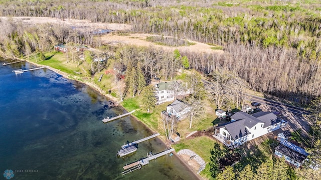 29972 293rd St, Little Elbow Twp, MN 56589 - drone / aerial view of a large body of water